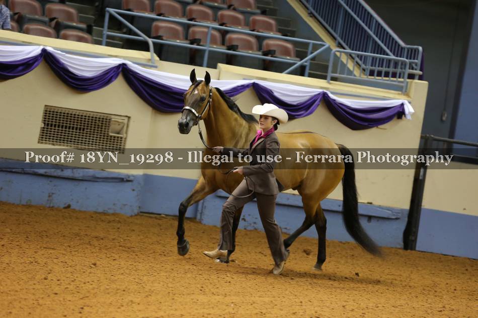 Proof 18YN_19298