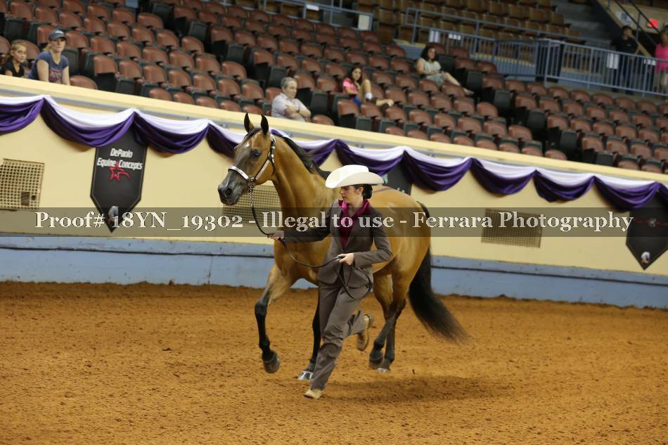 Proof 18YN_19302