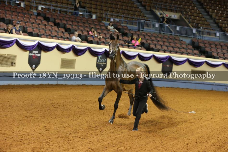 Proof 18YN_19313