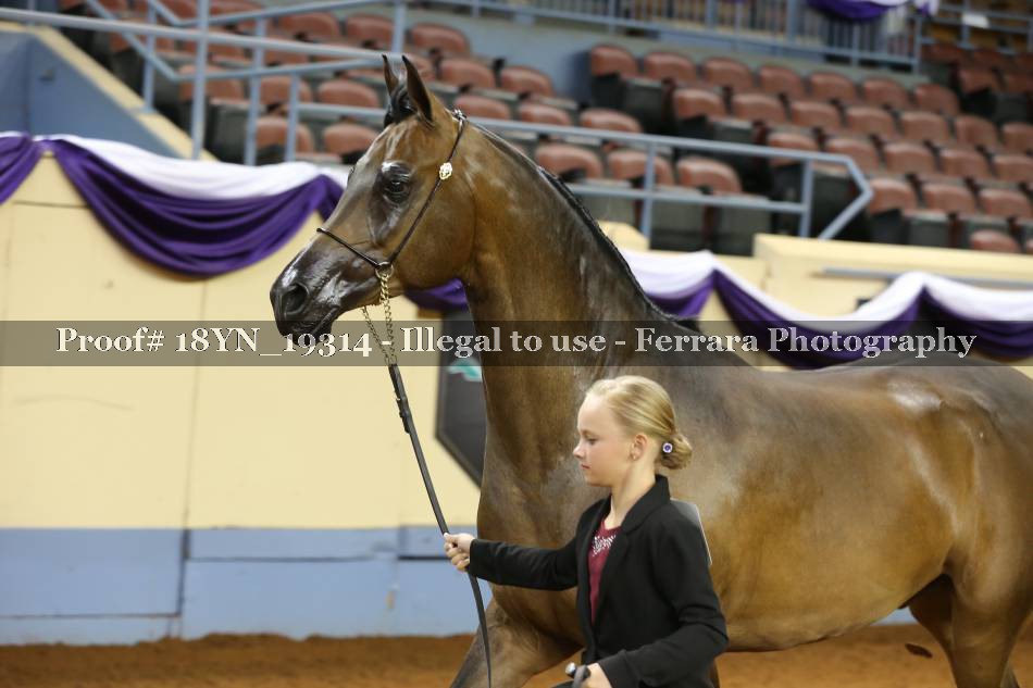 Proof 18YN_19314