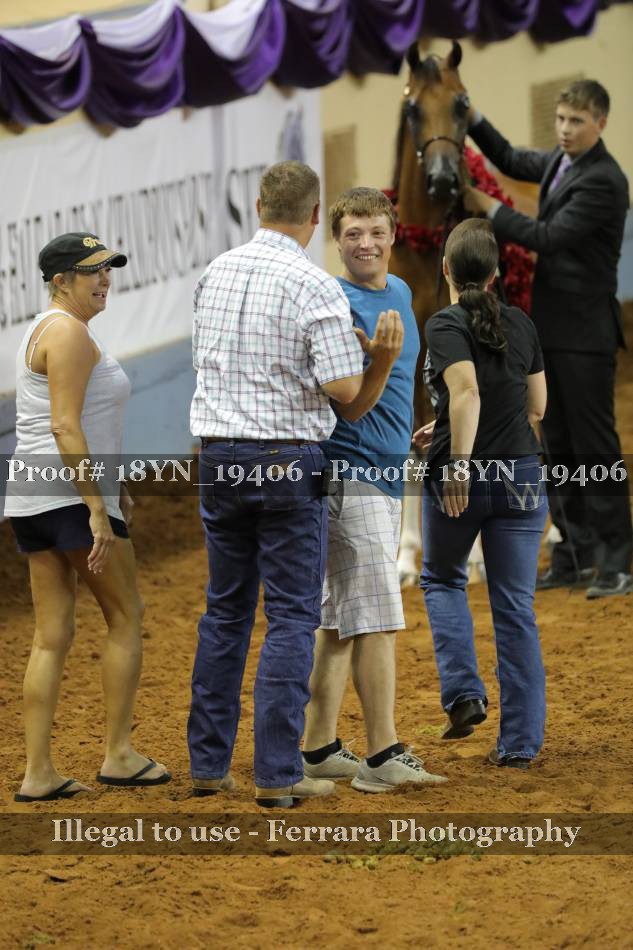 Proof 18YN_19406