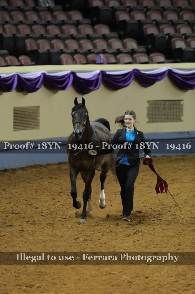 Proof 18YN_19416