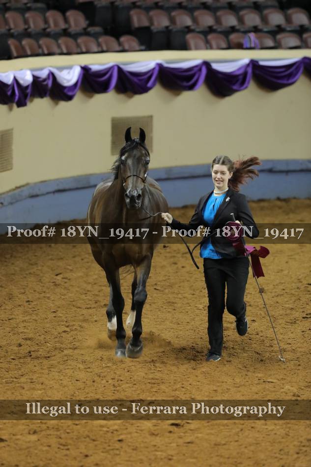 Proof 18YN_19417