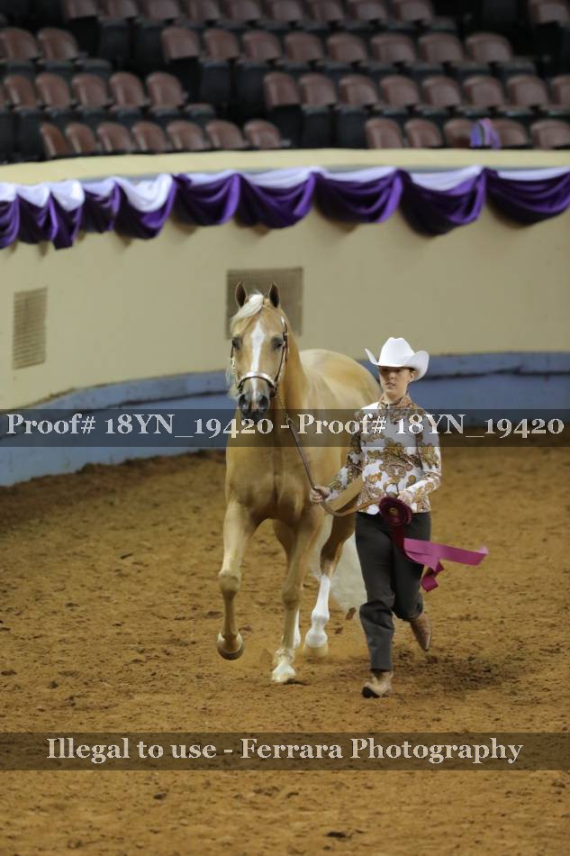 Proof 18YN_19420