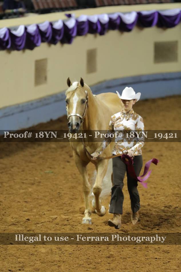 Proof 18YN_19421