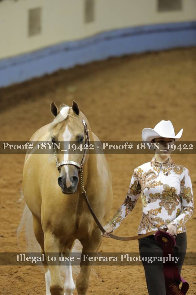 Proof 18YN_19422