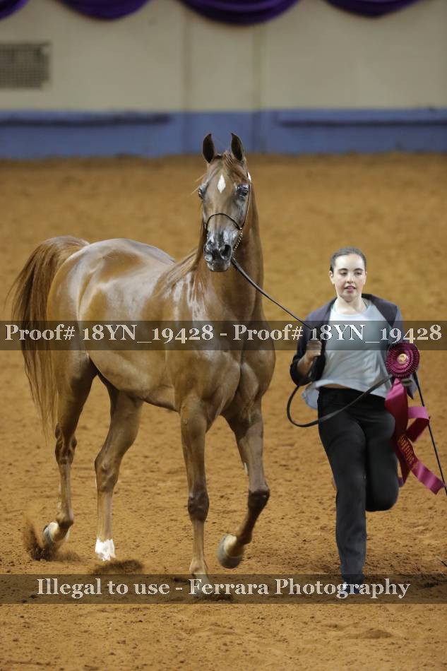 Proof 18YN_19428