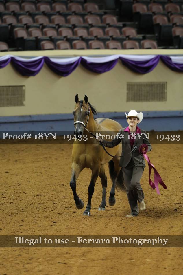 Proof 18YN_19433