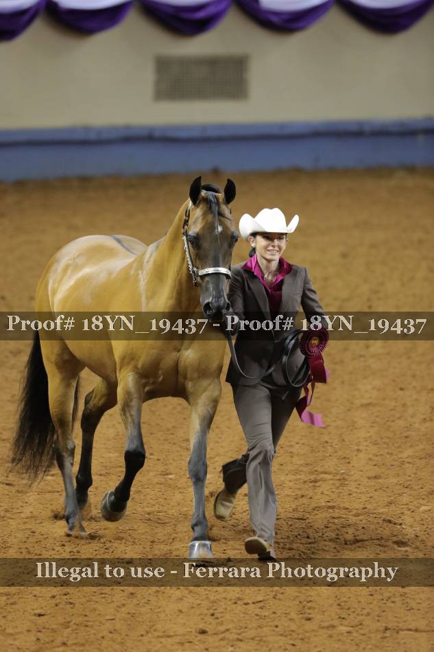 Proof 18YN_19437