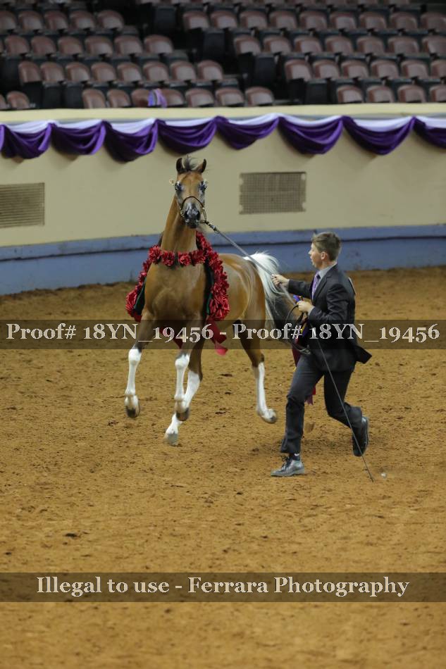 Proof 18YN_19456