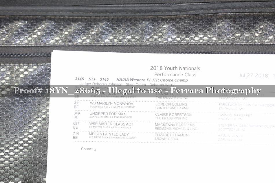 Proof 18YN_28665