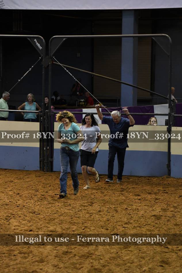Proof 18YN_33024