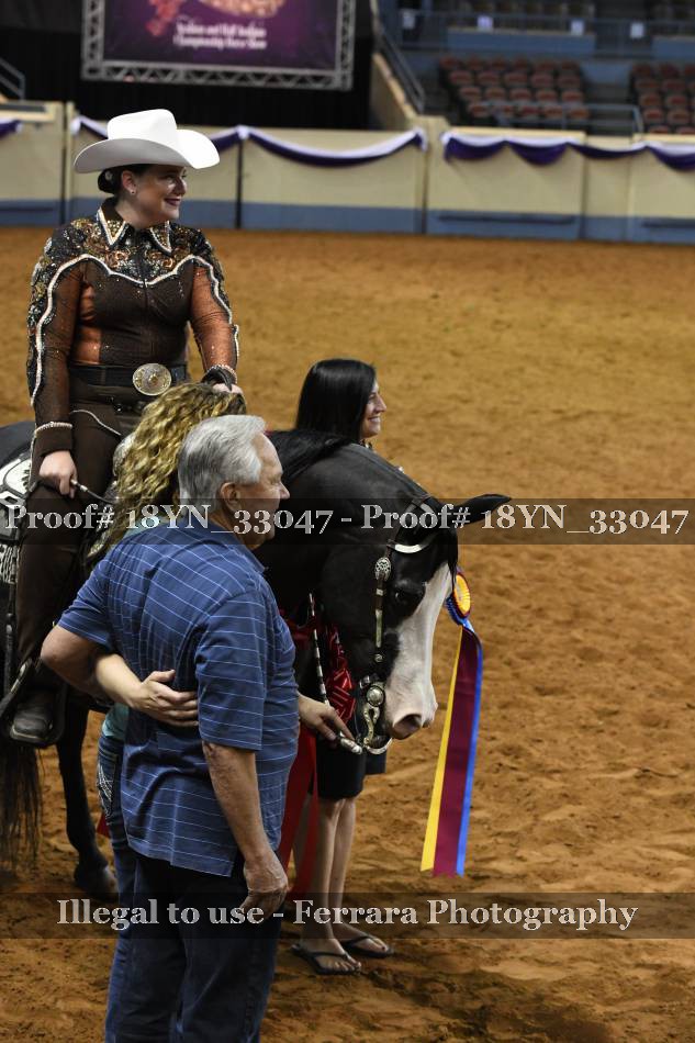 Proof 18YN_33047