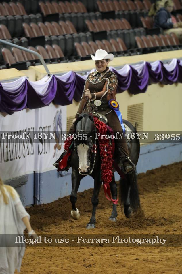 Proof 18YN_33055