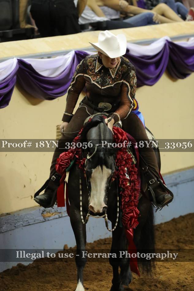 Proof 18YN_33056