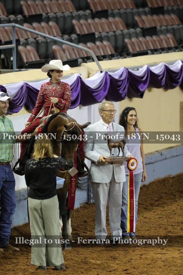 Proof 18YN_15043