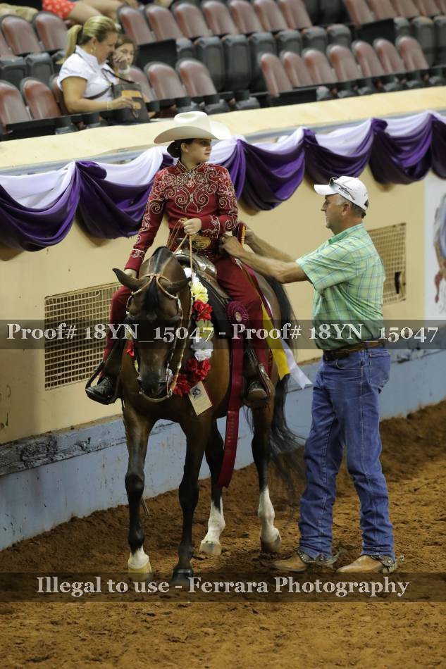 Proof 18YN_15047