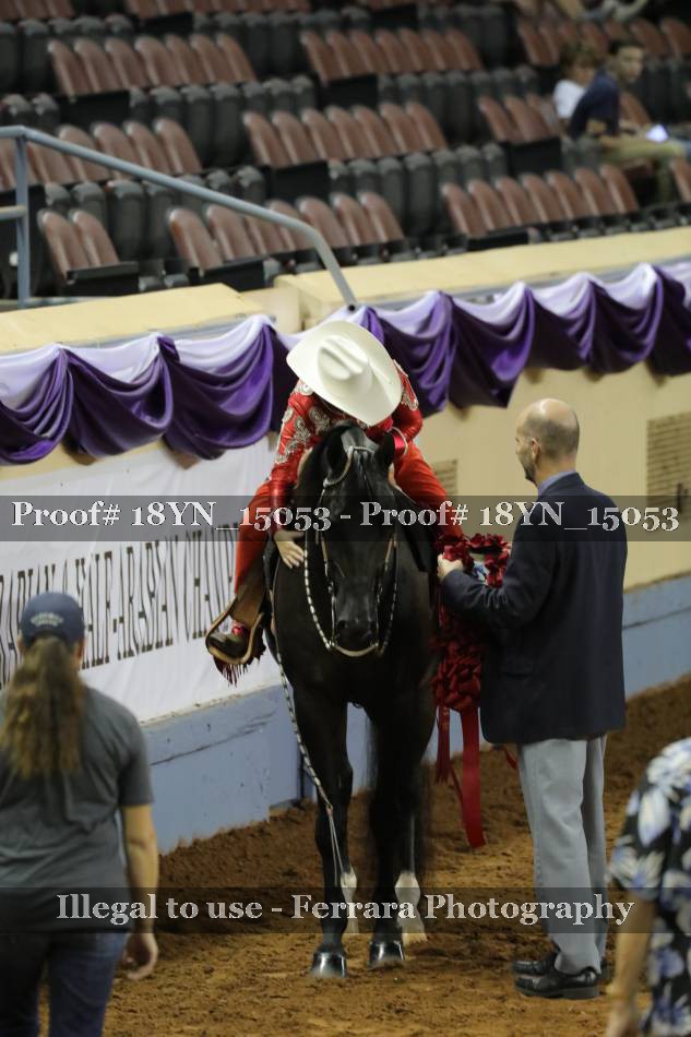 Proof 18YN_15053