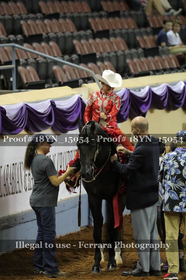 Proof 18YN_15054