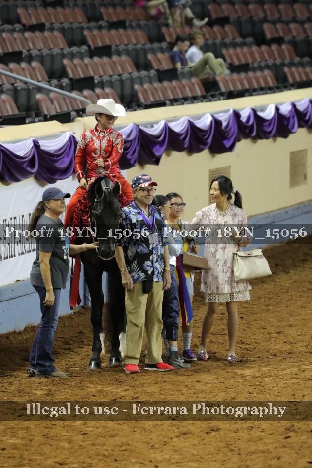 Proof 18YN_15056
