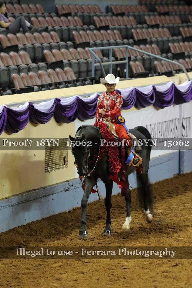 Proof 18YN_15062