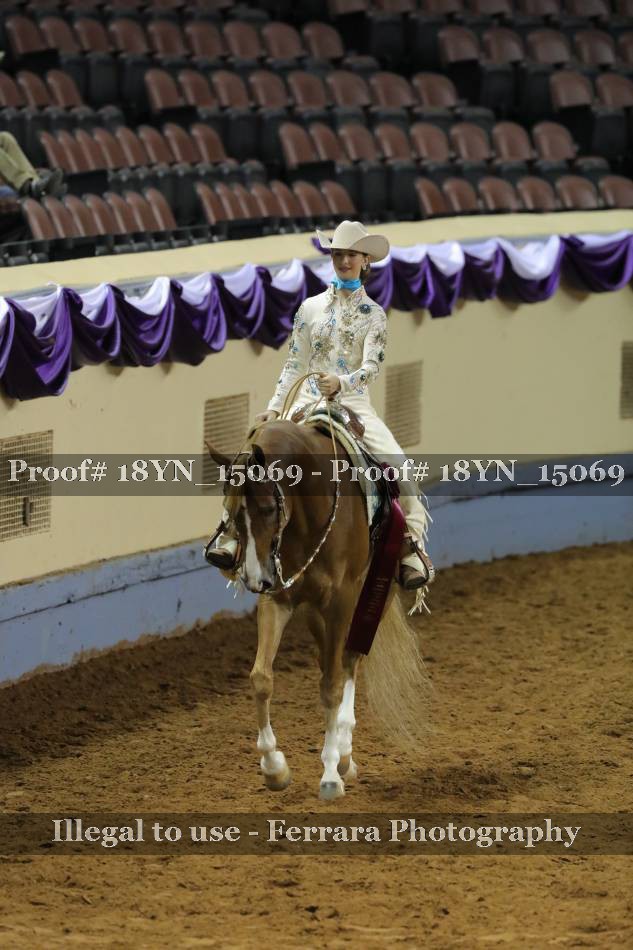 Proof 18YN_15069