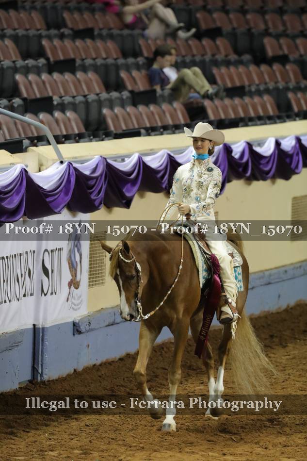 Proof 18YN_15070