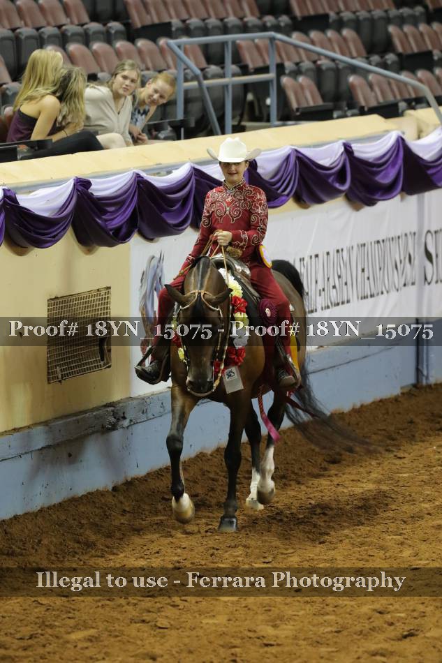 Proof 18YN_15075