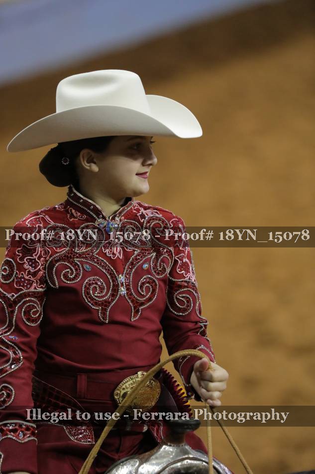 Proof 18YN_15078