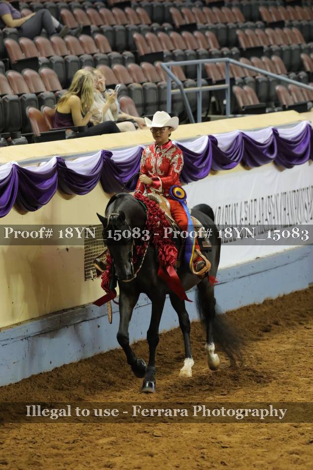 Proof 18YN_15083