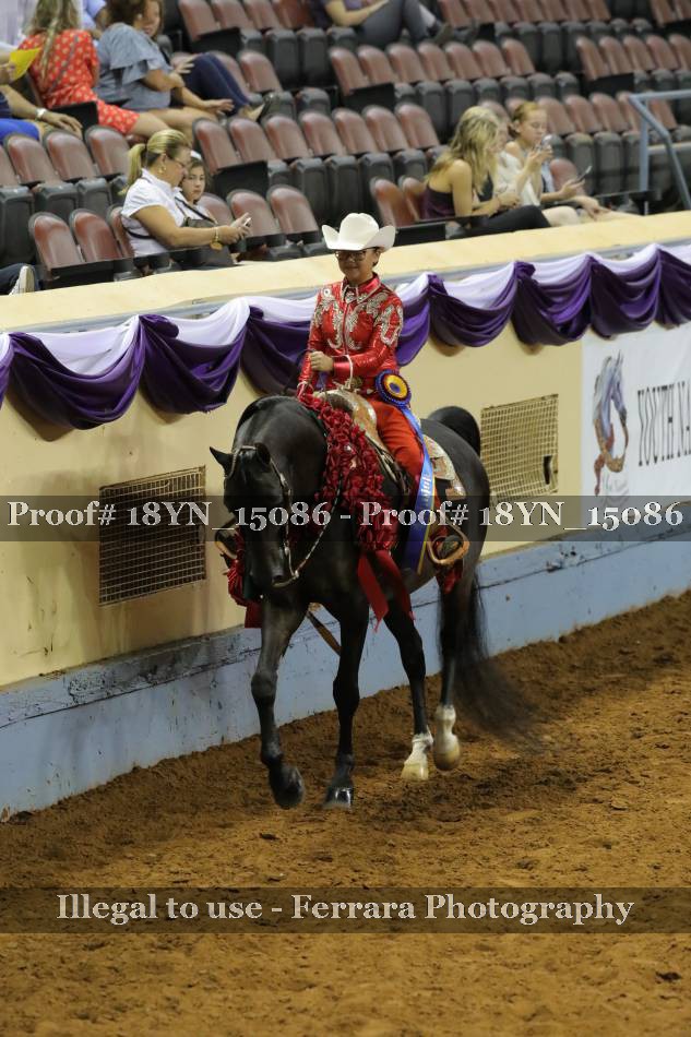 Proof 18YN_15086