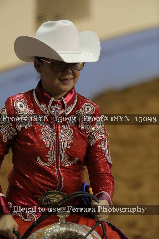 Proof 18YN_15093