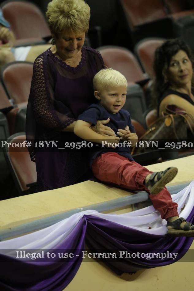 Proof 18YN_29580