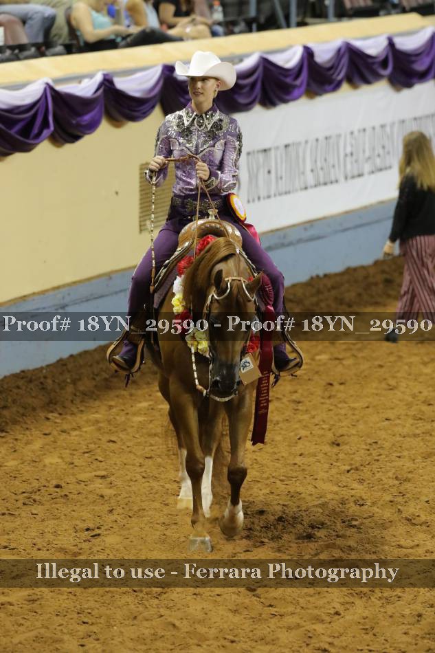Proof 18YN_29590