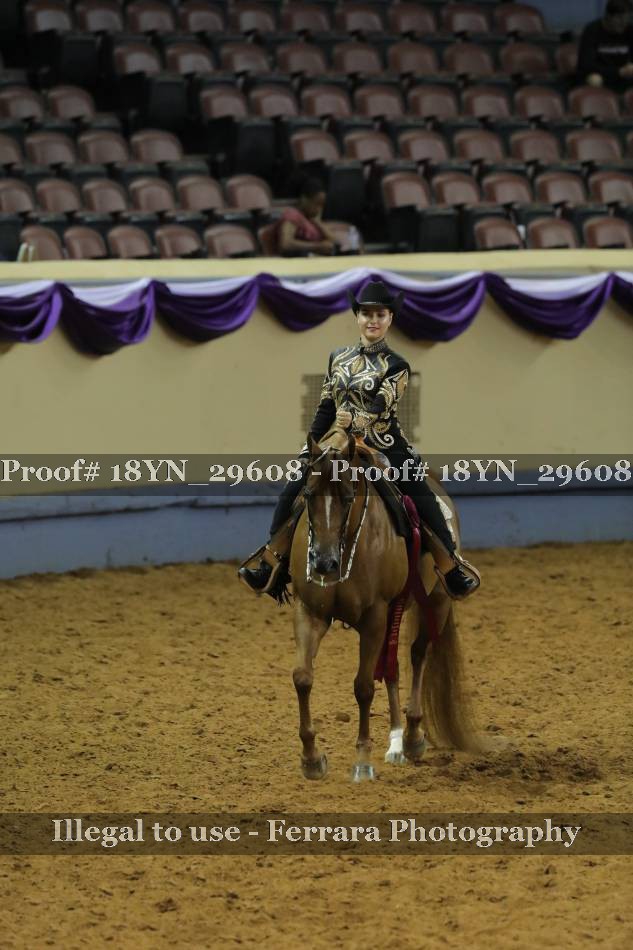 Proof 18YN_29608