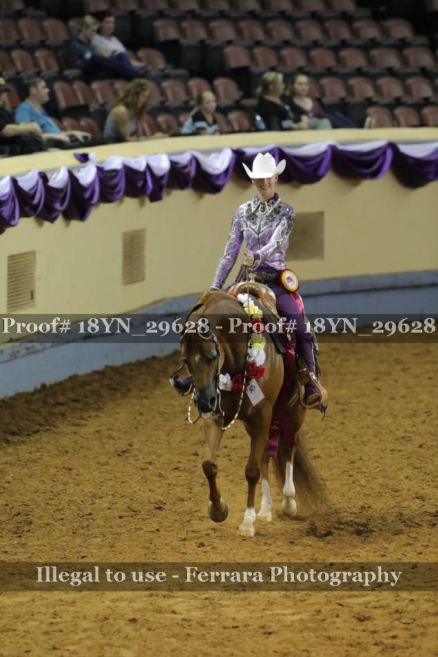 Proof 18YN_29628