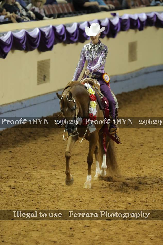 Proof 18YN_29629