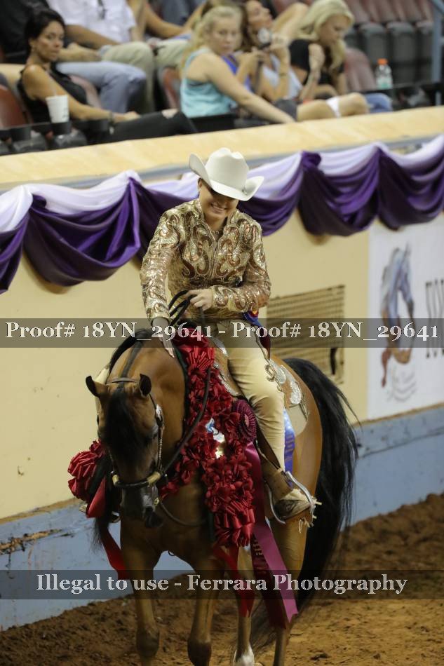 Proof 18YN_29641