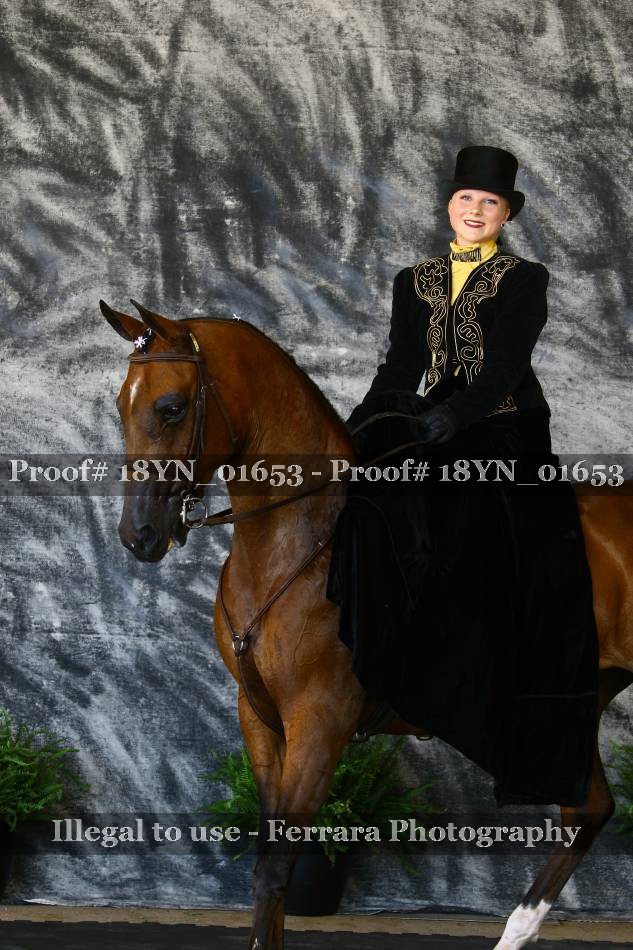 Proof 18YN_01653