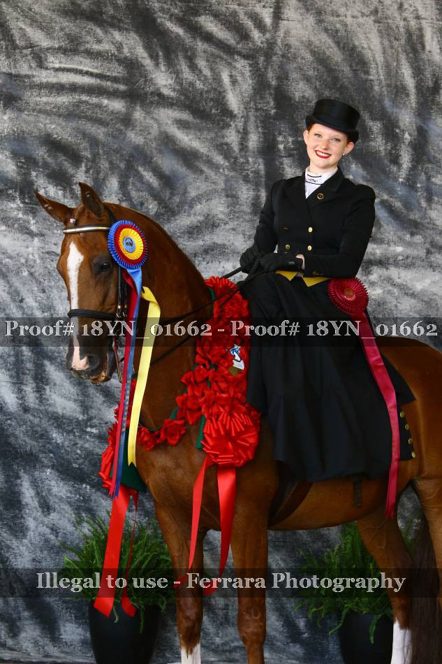 Proof 18YN_01662