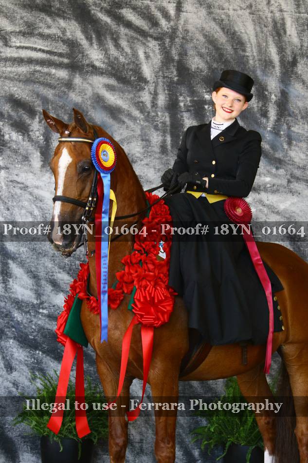 Proof 18YN_01664