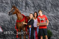 18YN_34177 proof