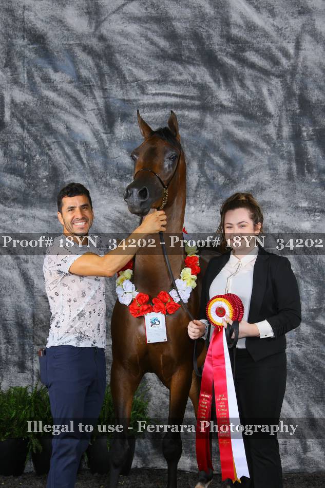 Proof 18YN_34202