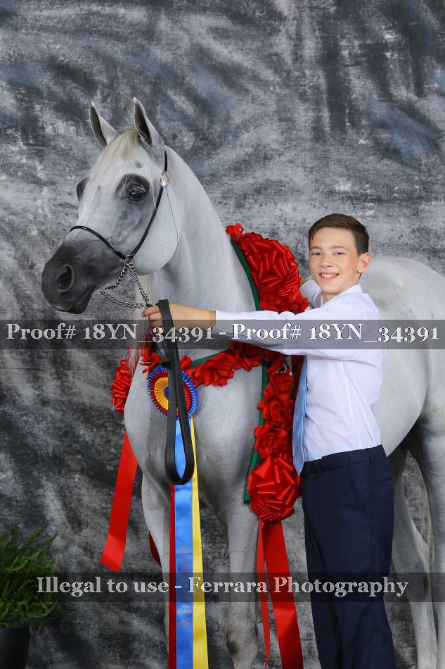 Proof 18YN_34391