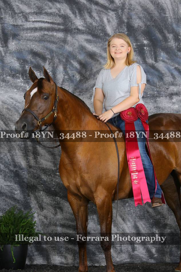 Proof 18YN_34488