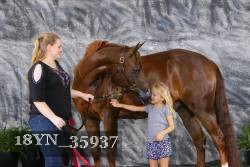 18YN_35937 proof