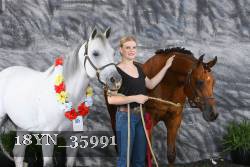 18YN_35991 proof