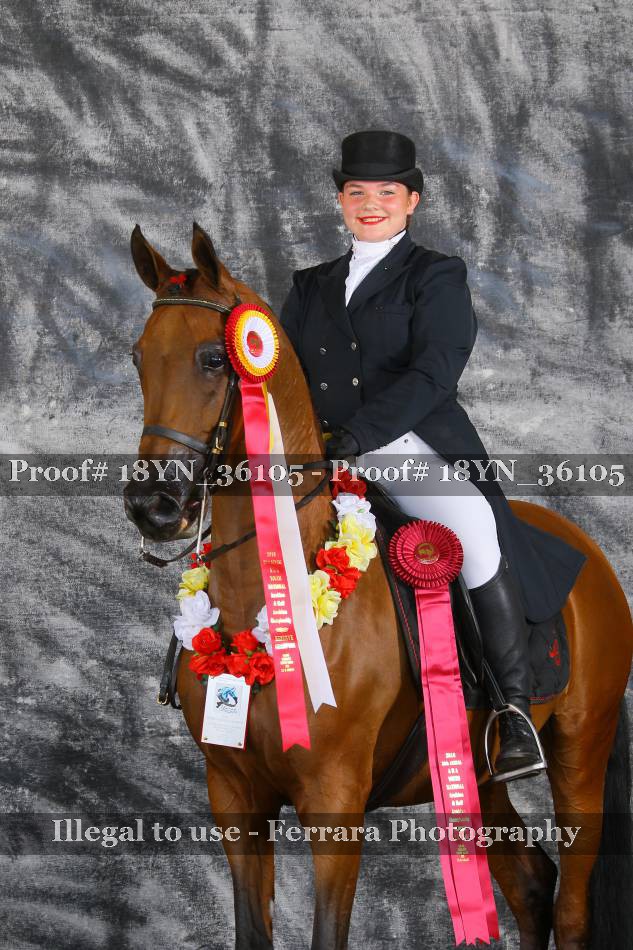 Proof 18YN_36105