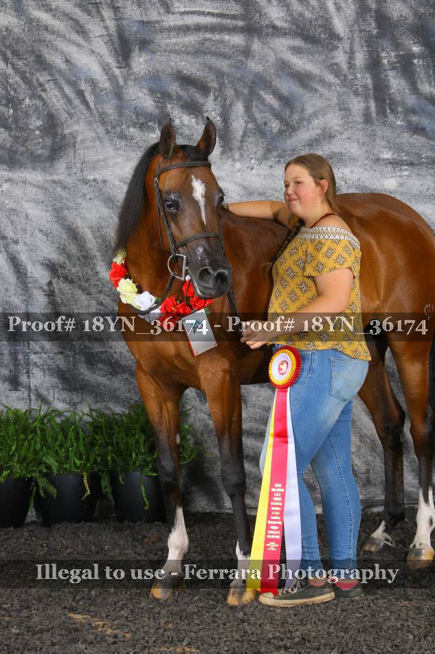 Proof 18YN_36174