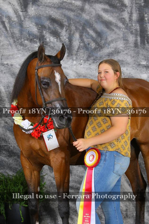 Proof 18YN_36176